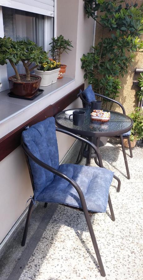 Apartment Rada Pirot