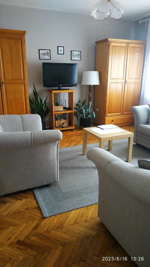 Rada Pirot